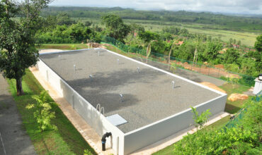 02 badegama plant